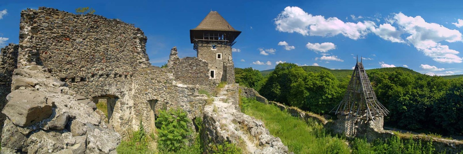 замок Невицький